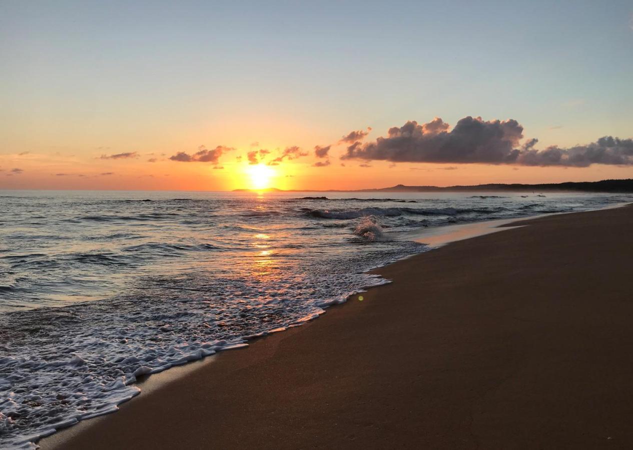 Casa Coral Hostel Luquillo Kültér fotó