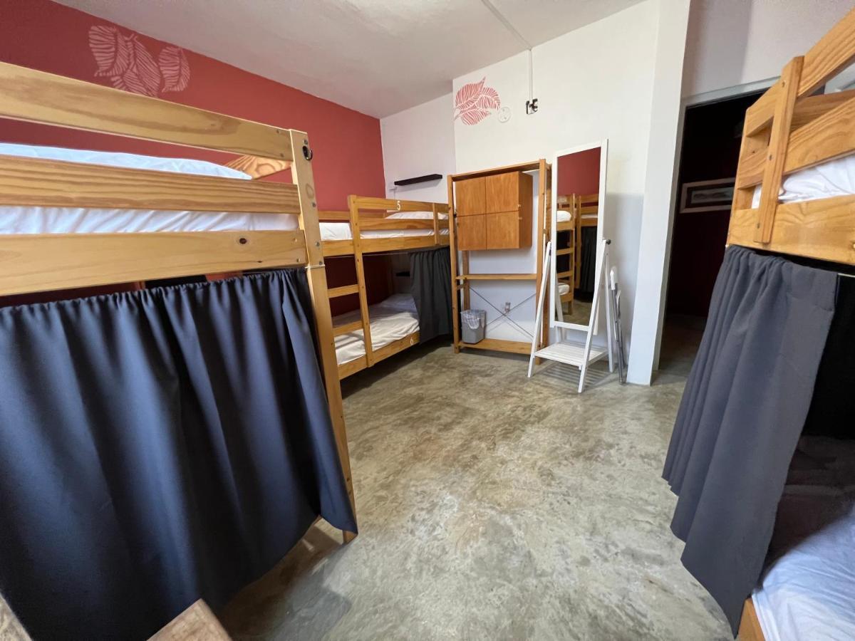 Casa Coral Hostel Luquillo Kültér fotó