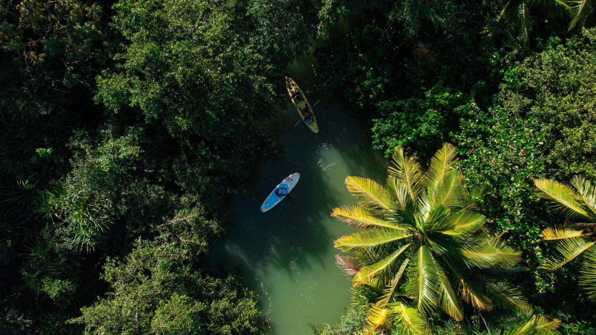 Casa Coral Hostel Luquillo Kültér fotó